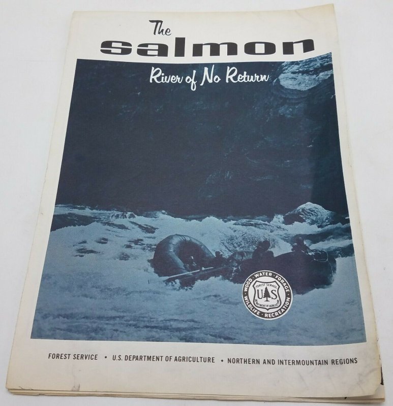 Vtg Circa 1970 The Salmon, River of No Return USDA Forest Service Map