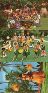 Taihiti Dancer Hula Girls Show 3x Hawaii Glamour Postcard s