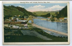 Murray Bay River & Village Quebec Canada postcard
