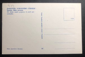 Mint Poland Real Picture Postcard RPPC Concentration Camp Terezin Entry View