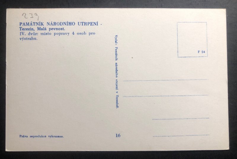 Mint Poland Real Picture Postcard RPPC Concentration Camp Terezin Entry View