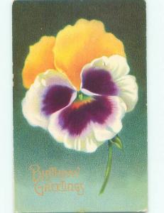 Divided-Back BEAUTIFUL FLOWERS SCENE Great Postcard AA3389