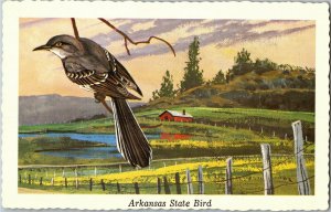 Mocking Bird Arkansas State Bird Artist Ken Haag Postcard B62