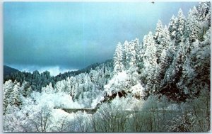 Postcard - Winter at Morton Overlook, Great Smoky Mountains National Park - TN