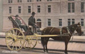 Canada Quebec A Caleche Horse and Carriage