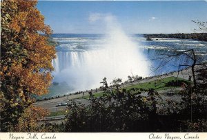 Lot 17 canada horeseshoe falls niagara chutes ontario