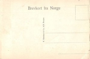 Loenvandet Nordfjord Steamer Vintage Postcard AA34889