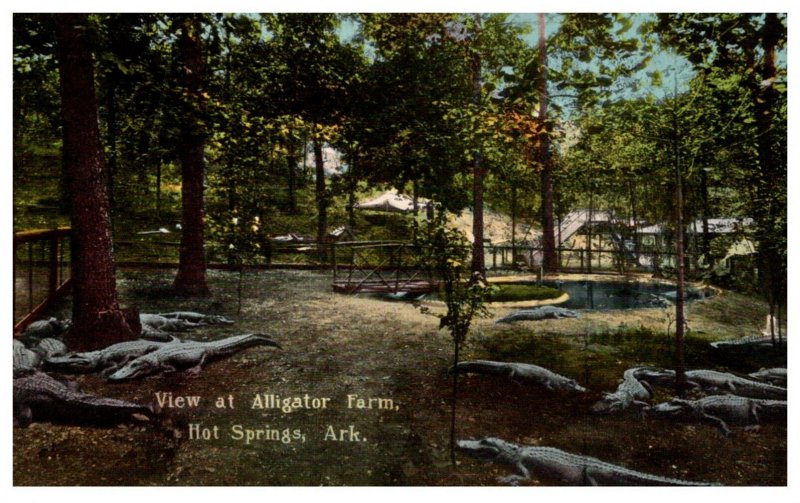 Arkansas Hot Springs  Alligator Farm