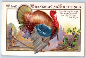 Thanksgiving Postcard Greetings Turkey And Grapes Embossed Stutsman ND Embossed