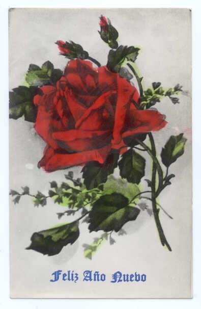 Colorized RP Happy New Year, Feliz Ano Nuebo, Red Rose Photo