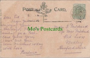 Genealogy Postcard - Pritchard, Red Lion, Madley, Herefordshire  GL1147