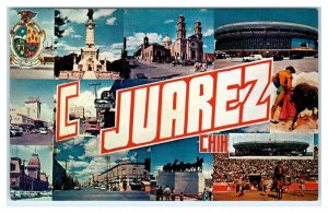 JUAREZ, Chihuahua, Mexico ~ LARGE LETTER Multiview c1950s Cars Postcard