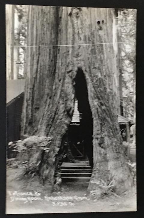 Entrance to Dining Room Rishardson Grove Real Photo Post Card