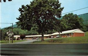 Hot Springs Virginia Roseloe Motel Vintage Postcard J52550