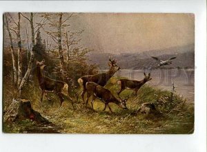 3132433 HUNT Family DEER Mushrooms by MULLER Vintage PC