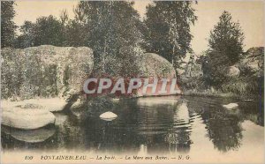 Old Postcard Fontainebleau La Foret La Mare aux Biches