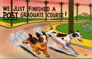 Humour Dogs Racing We Just Finished A Post Graduate Curse