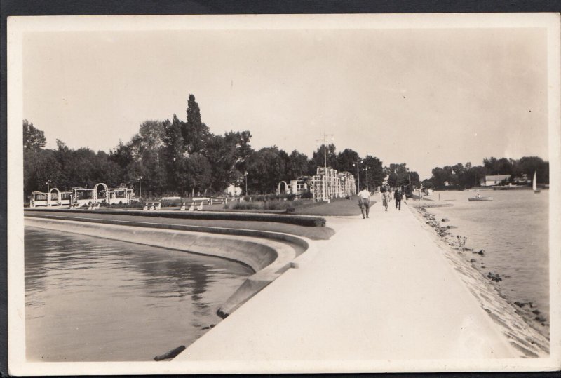 Hungary Postcard - Siofok - Rose-Garden With The Pier  BT294