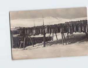 Postcard Fisken torres Norway