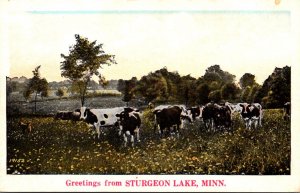 Minnesota Greetings From Sturgeon Lake