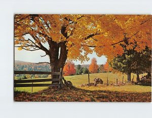 Postcard A Typical New England Fall scene, New England