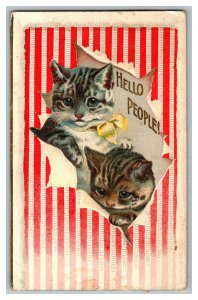 Postcard Hello People Vintage Standard View Card Cats 