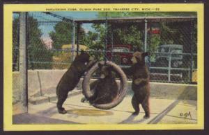 Bear Cubs,Clinch Park Zoo,Traverse City,MI Postcard 