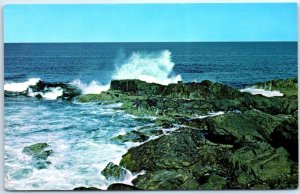 M-55325 A Calm Sea along Maine's Rockbound Coast Maine