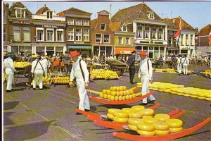 Men Carrying Many Rounds of Cheese at Market, Alkmaar,  Netherlands,