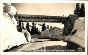 Maches Pass Highway Washington WA  Mt Rainier Park Real Photo Postcard