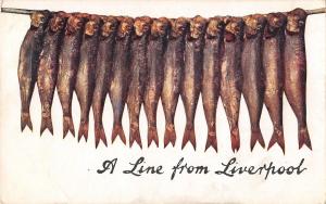 BR96255 a line from liverpool fish postcard  uk oilette 9373