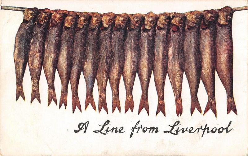 BR96255 a line from liverpool fish postcard  uk oilette 9373