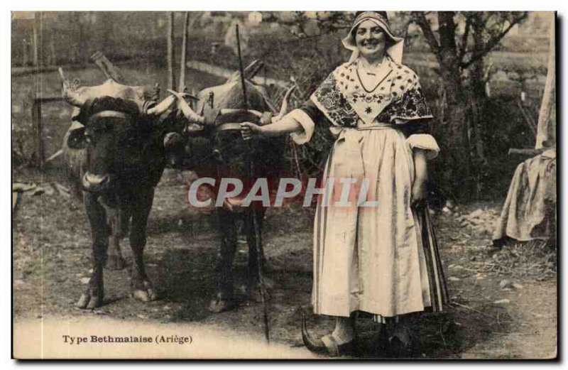 Ariege Postcard Old Bethmalaise Cows Oxen Breeding (folklore costumes)