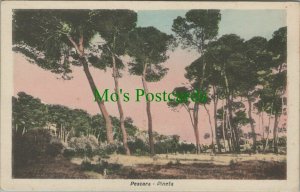 Italy Postcard - Abruzzo, Pescara - Pineta  RS27840