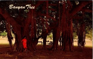 Maui, HI Hawaii  WOMAN Under BANYAN TREE At LAHAINA  Vintage Chrome Postcard