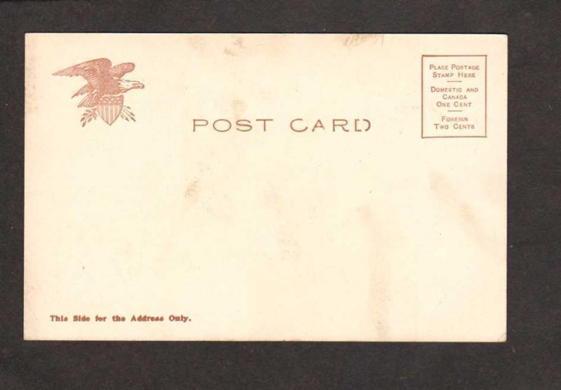 MA Washington Elm Tree Cambridge nr Boston Massachusetts Mass UDB Postcard