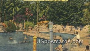 Venetian Pool - Coral Gables, Florida FL