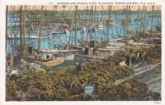 Florida Tarpon Springs Sponges And Sponge Fleet In Harbor 1928