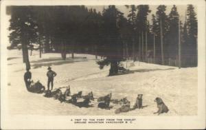 Dogsled Husky Dog Sled Team Grouse Mountain Vanvouver BC Real Photo Postcard