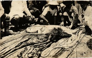 PC CPA MALAYSIA, GIANT SNAKE CORPSE, VINTAGE REAL PHOTO POSTCARD (b4072)