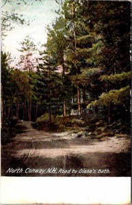 Postcard ROAD SCENE North Conway New Hampshire NH AL9042