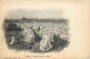 Algerian Sahara Biskra muslims in pray islamic Ramadan lot x 4 