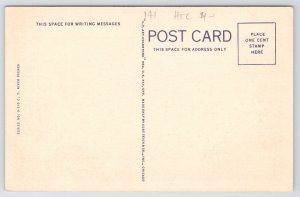 Snake River Oregon-Idaho~Old Oregon Trail Birdseye View~Linen Postcard