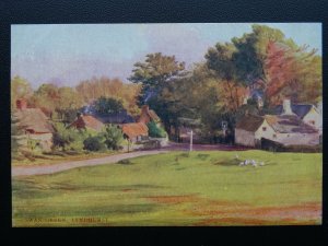 Hampshire New Forest SWAN GREEN LYNDHURST W.Tyndale c1904 Postcard