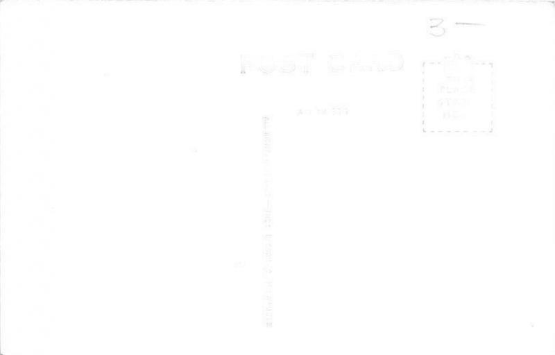 Sheldon Iowa~City Park Pathways~Monuments~Birdhouse~1940s Real Photo~RPPC