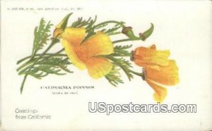 California Poppies - Greetings from  