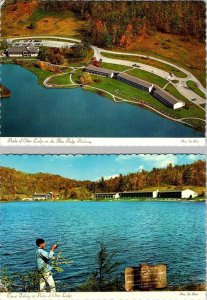 2~4X6 Postcards Bedford, VA Virginia PEAKS OF OTTER LODGE MOTEL & TROUT FISHING