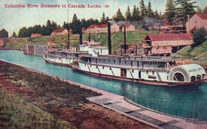 Vintage Postcard Columbia River Steamers Cascades Locks Largest River America