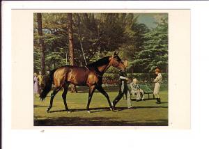 W Broadhead, Nashua, Race Horse