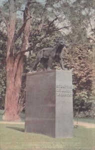 the Catamount In Bronze Bennington Beautiful In Vermont Handcolored Albertype